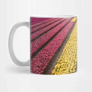 Fields of Tulips Mug